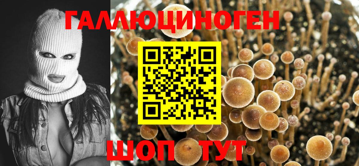 Псилоцибиновые грибы мухоморы  Вход с VPN  Галлюциногенные грибы Psilocybine cubensis  Краснокаменск 