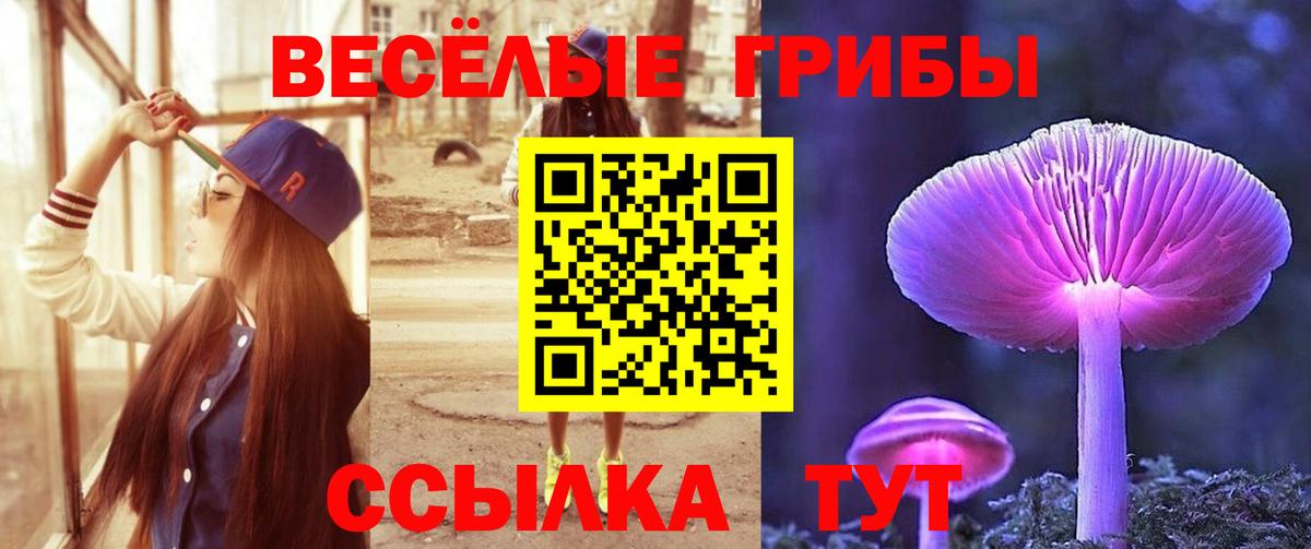 Галлюциногенные грибы мухоморы Краснокаменск